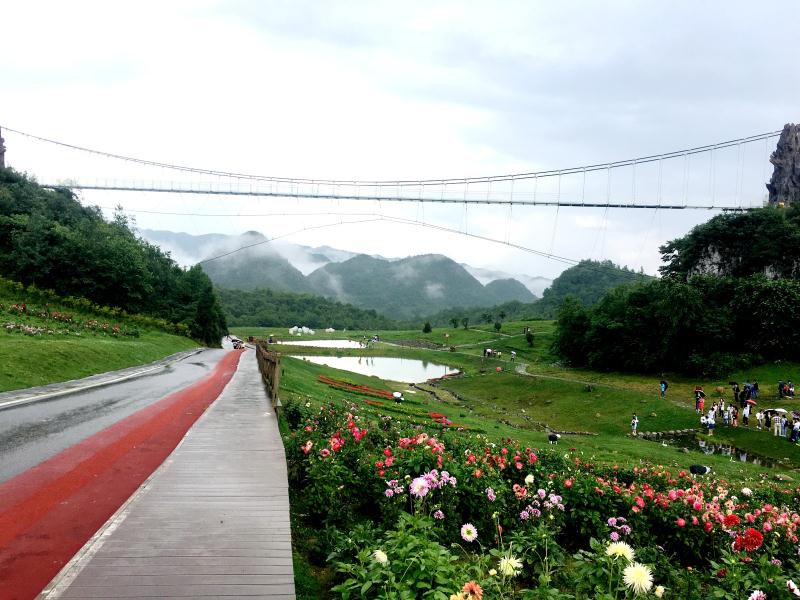 景区大门,奢香军营山地公园大门,花海大道游客中心,金坡景区游客中心