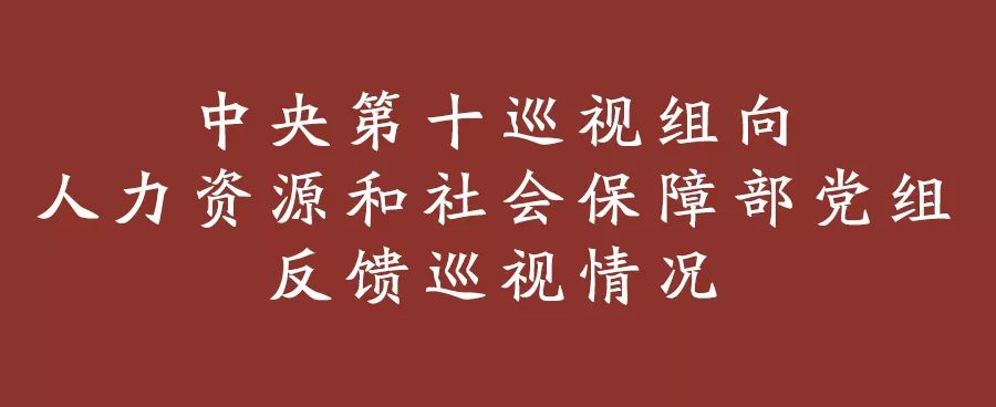 【工作动态】中央第十巡视组向人力资源和社会保障部党组反馈巡视情况