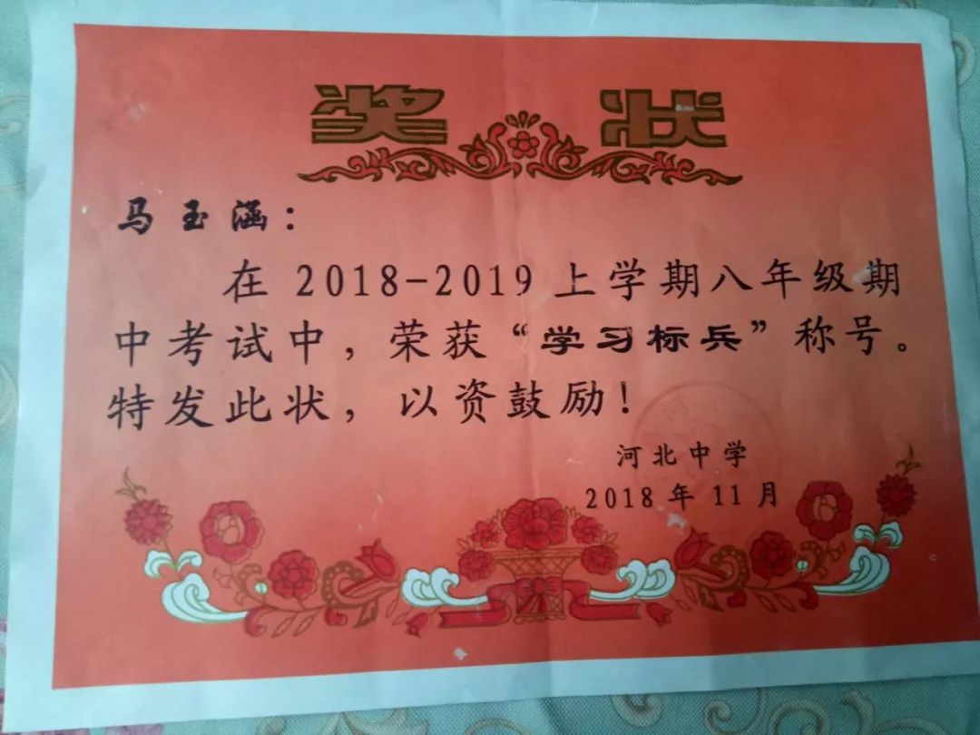 肃宁县马玉涵荣获沧州市2018年第四季度"新时代好少年