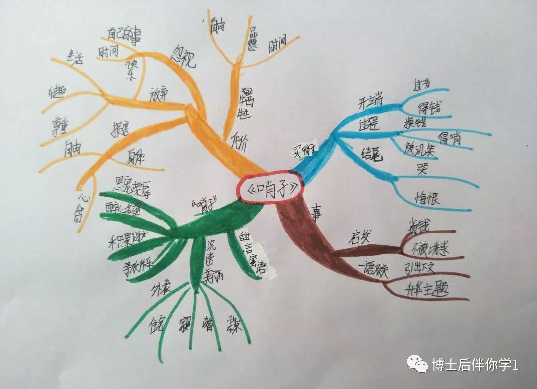 博士后伴你学思维导图训练营day2