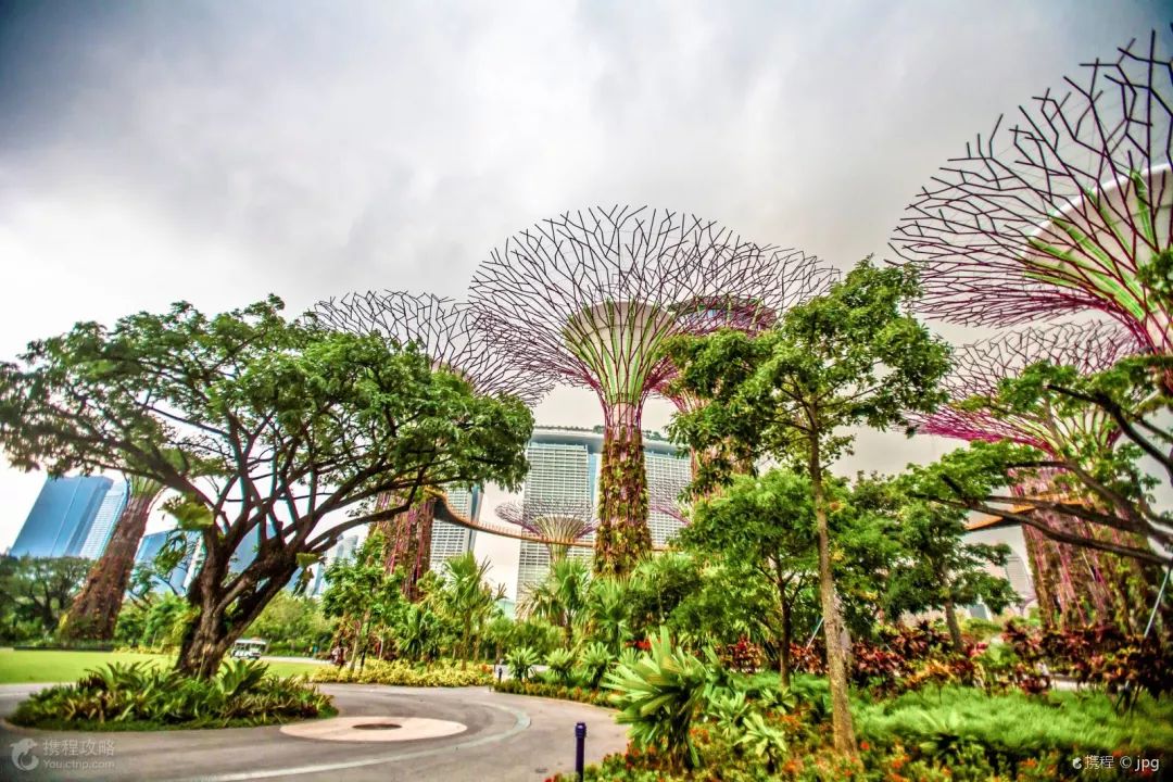 新加坡96小时过境免签新条例,中国游客也可