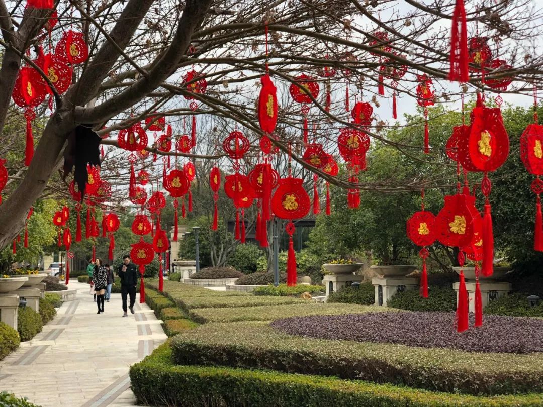 春节前的上海小区竟都变成了这样!快门摁得停不住了.