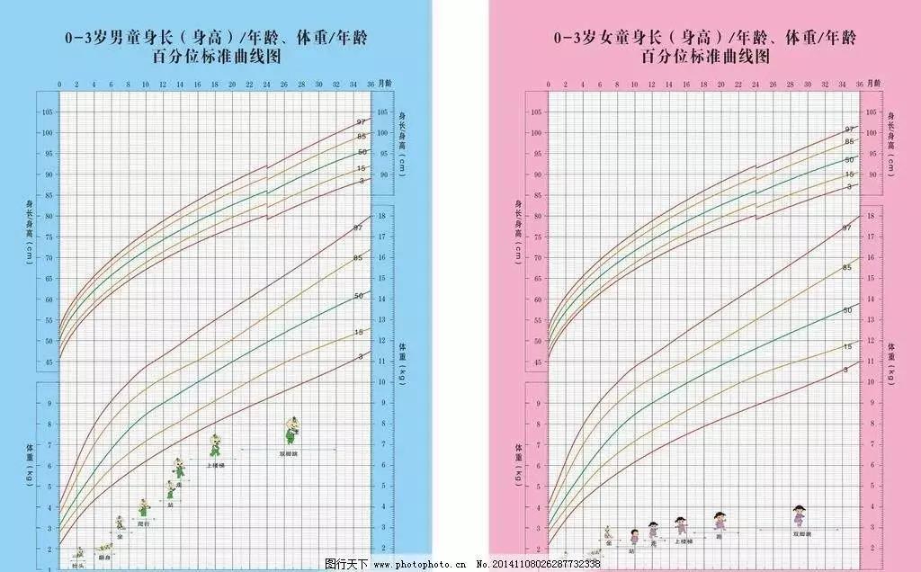 (0~3岁百分位标准曲线图)