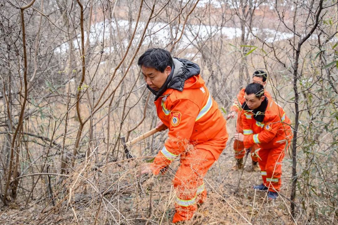 清理路上的荆棘