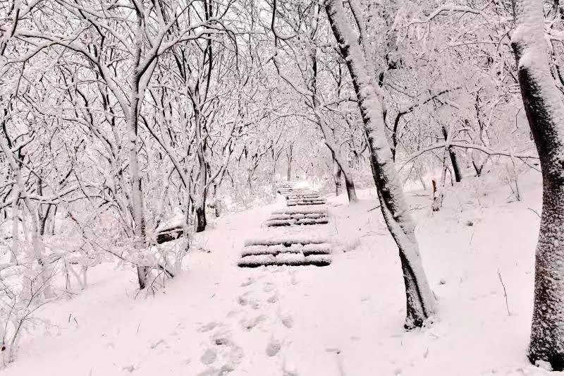 全淮北最会玩雪的人原来是他们