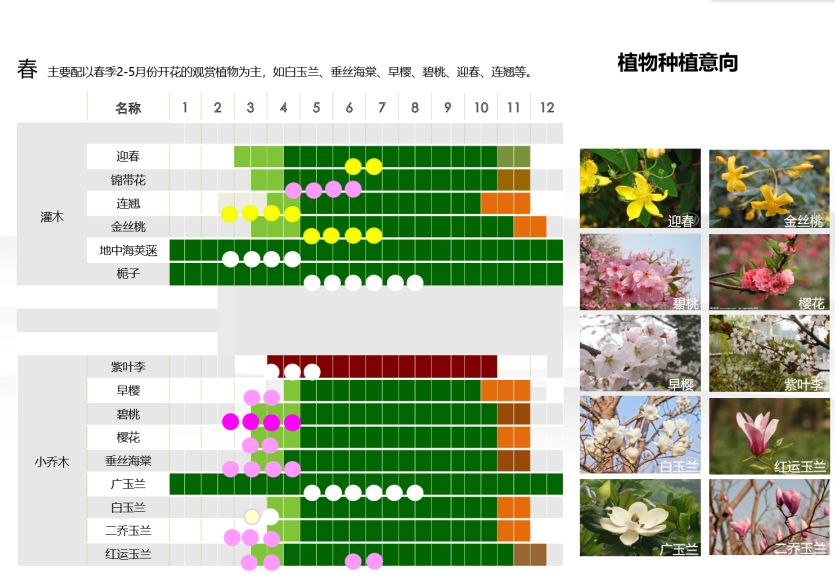 种植规划体现 "春全线,夏秋成片,冬连线"的植物景观季相特征.