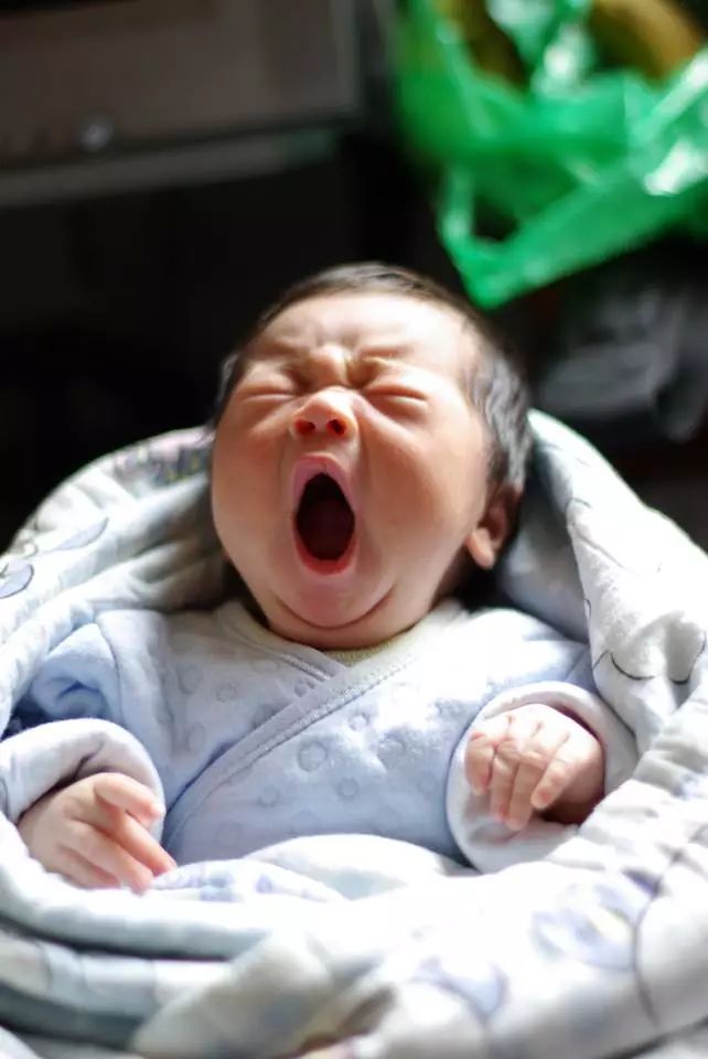 新生兒曬太陽退黃疸，卻導致寶寶發燒入院！月嫂教你，寶寶曬太陽的「正確姿勢」 親子 第8張