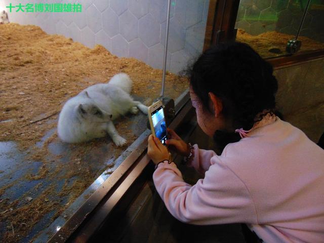 奇趣童真，歡樂親子，麥族室內動物園春節大優惠 旅遊 第15張