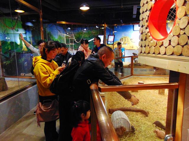 奇趣童真，歡樂親子，麥族室內動物園春節大優惠 旅遊 第28張