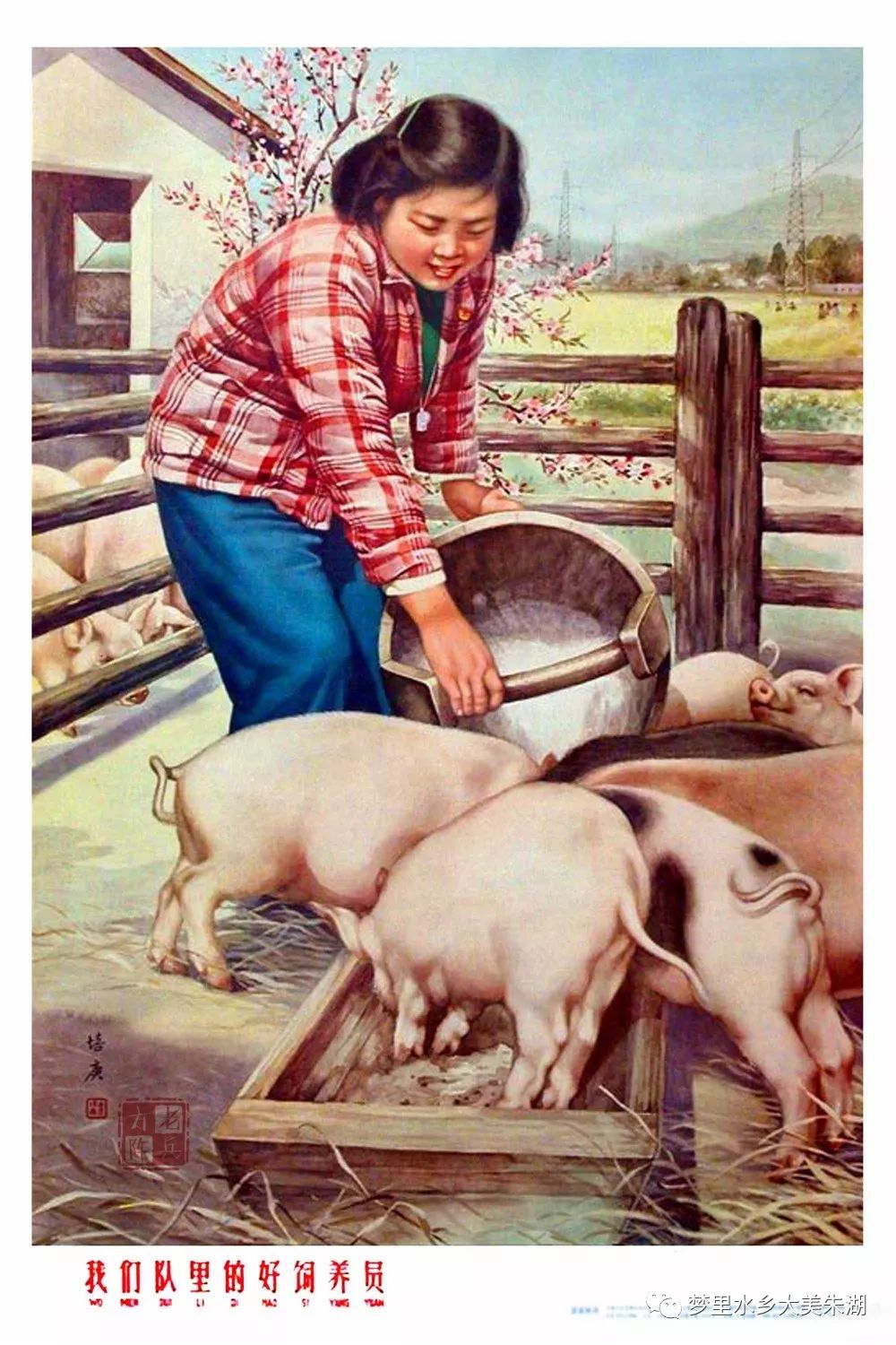 回顾50~70年代养猪年画,诸事大吉!