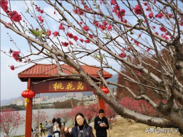 五绝·星湖桃花岛