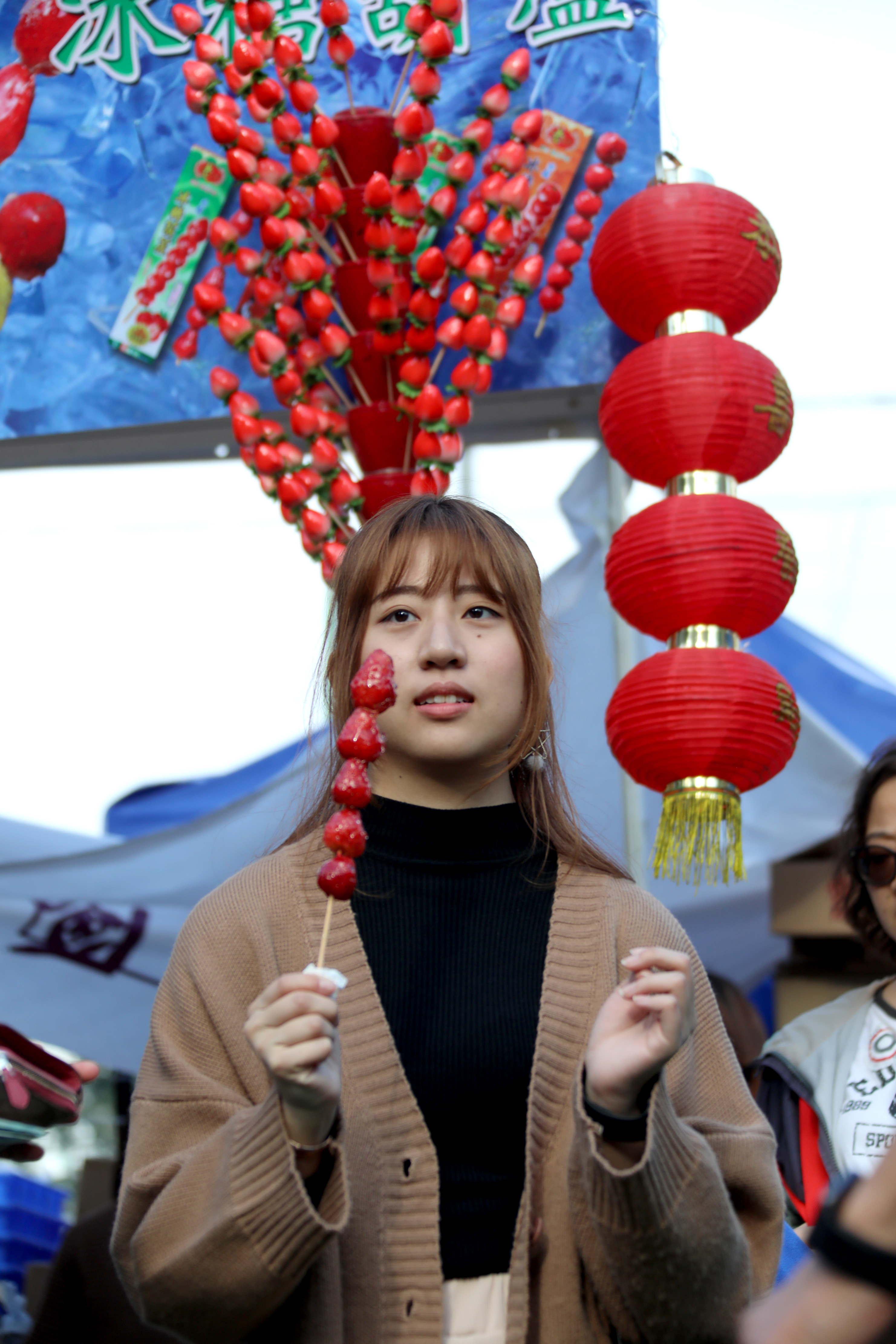 维多利亚2 人口减少_维多利亚2图片