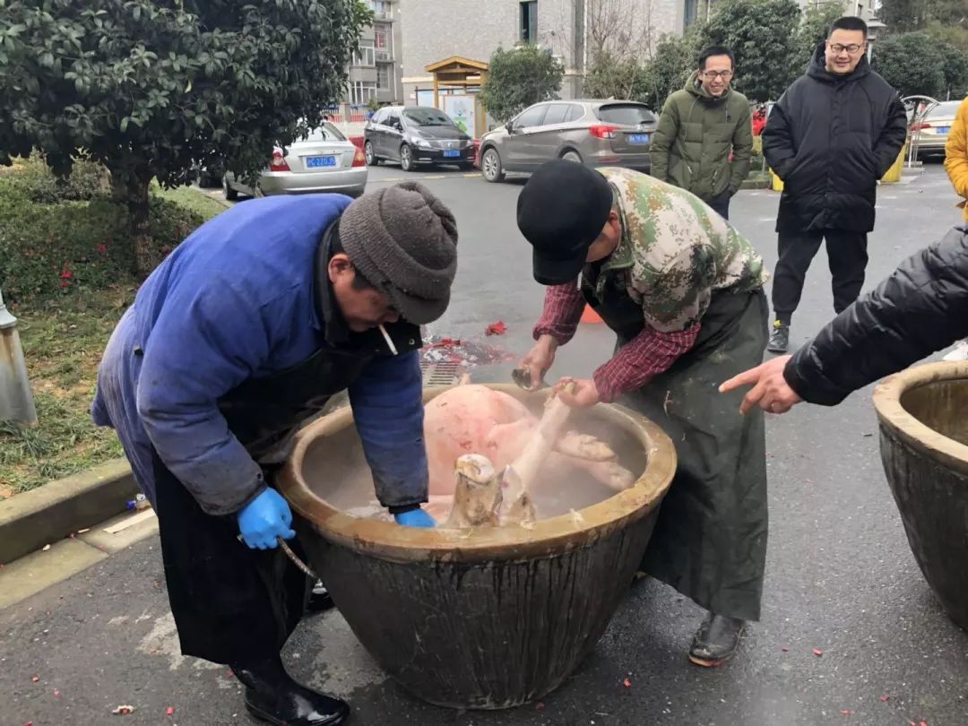 杀年猪打年糕包饺子老余杭这个村的邻居节玩出浓浓年味儿