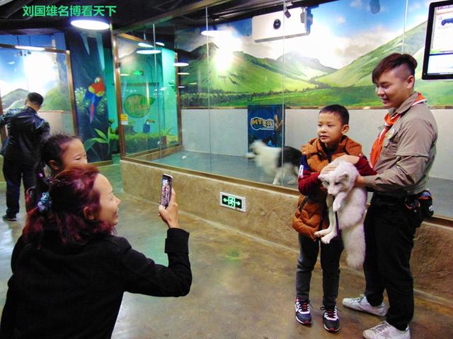 奇趣童真，歡樂親子，麥族室內動物園春節大優惠 旅遊 第33張