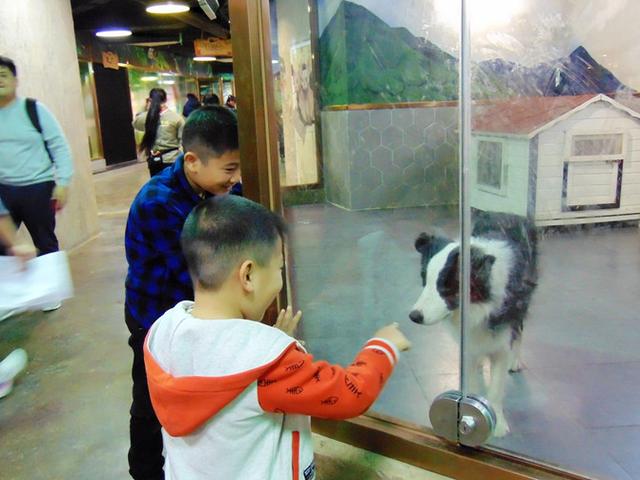 奇趣童真，歡樂親子，麥族室內動物園春節大優惠 旅遊 第36張