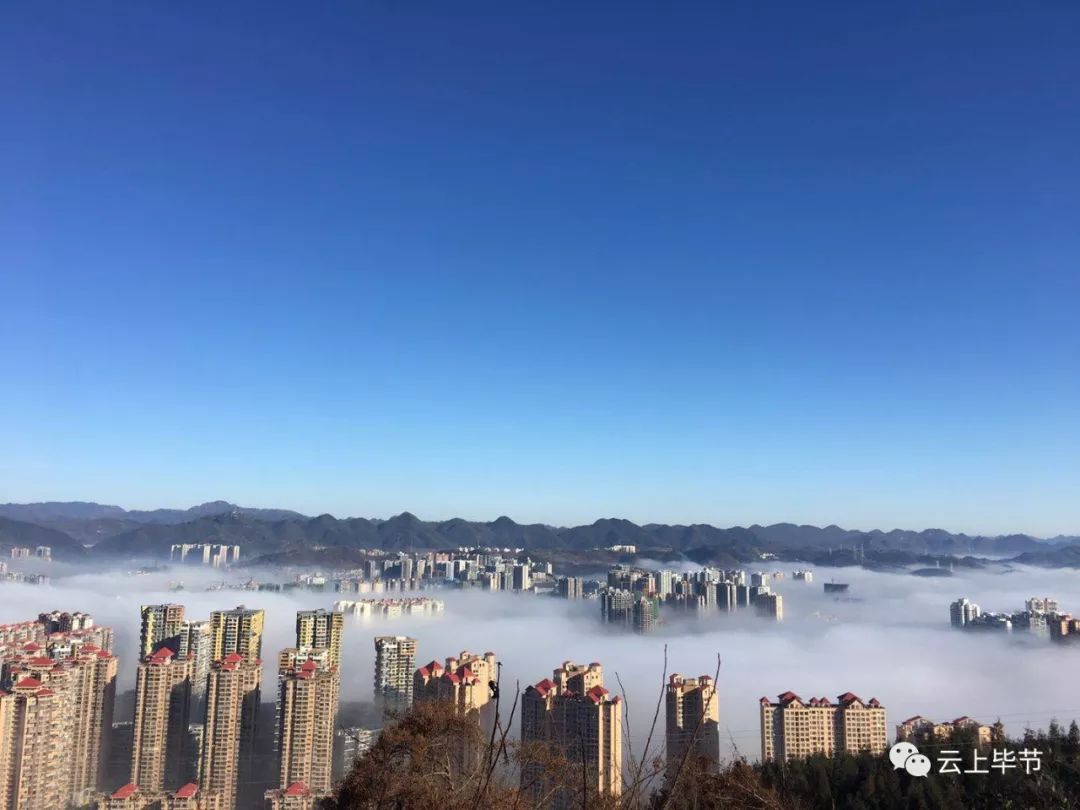 大波视频美图来袭!今天早上毕节多地雾景美翻了