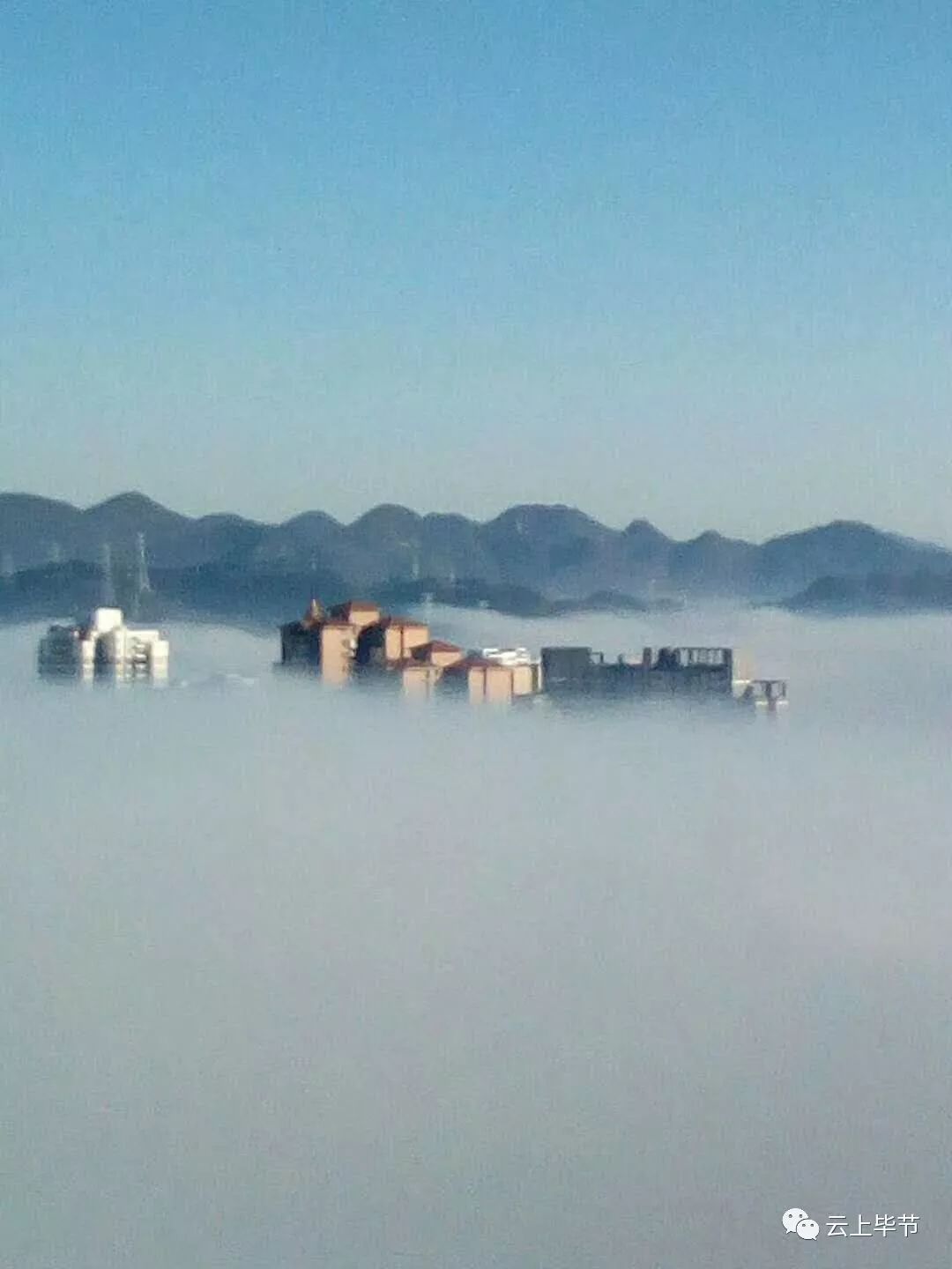 大波视频美图来袭!今天早上毕节多地雾景美翻了