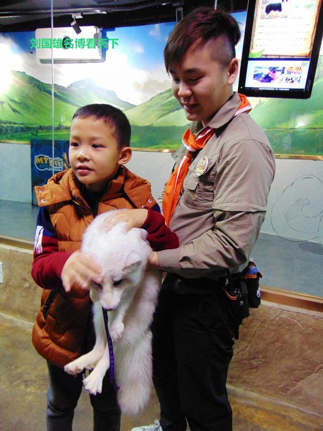 奇趣童真，歡樂親子，麥族室內動物園春節大優惠 旅遊 第2張