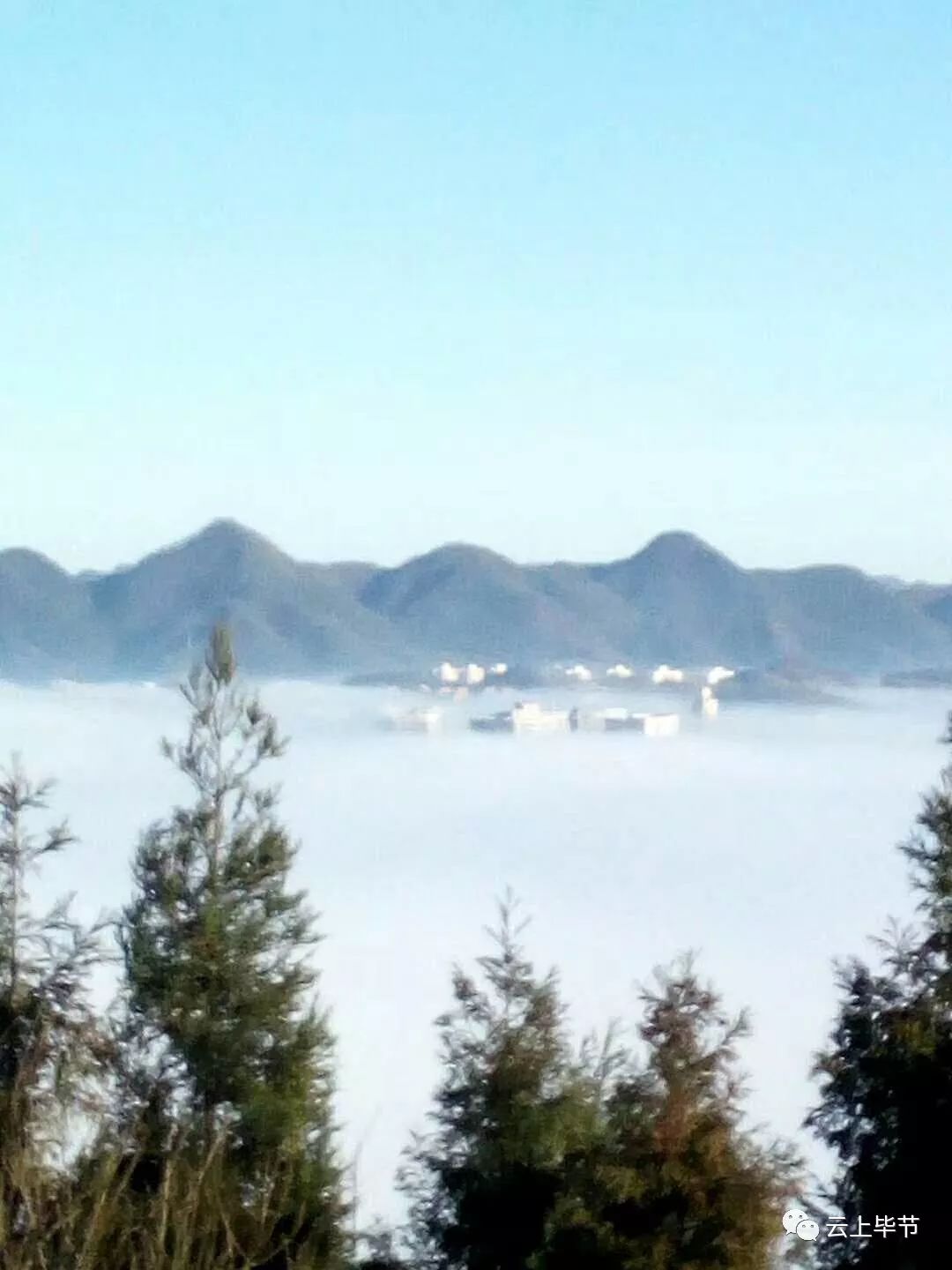 大波视频美图来袭!今天早上毕节多地雾景美翻了