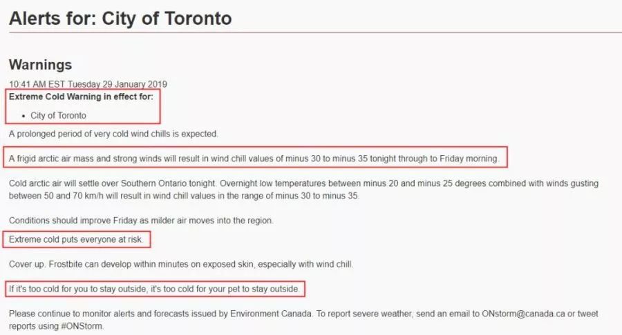 50年不遇！多倫多慘遭32cm暴雪封城，低溫警報再次來襲 遊戲 第6張