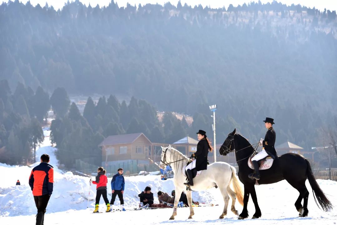 蟠龙山滑雪场,坐落于蟠龙山森林公园北麓济南国际赛马场内.