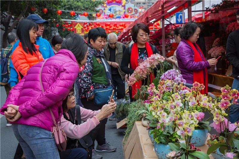 行花街咯!荔湾迎春花市开锣啦!最全攻略出炉,让你嗨足