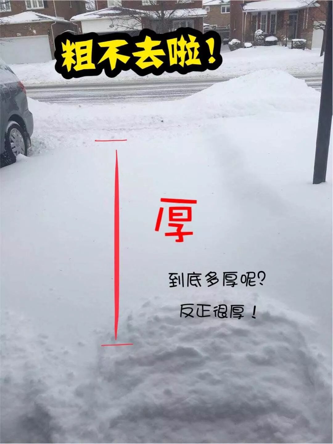 50年不遇！多倫多慘遭32cm暴雪封城，低溫警報再次來襲 遊戲 第13張