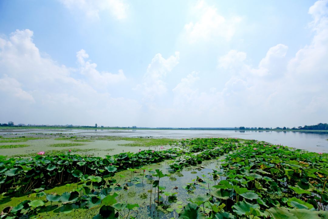 湖北61最美地名最乡情地名借粮湖