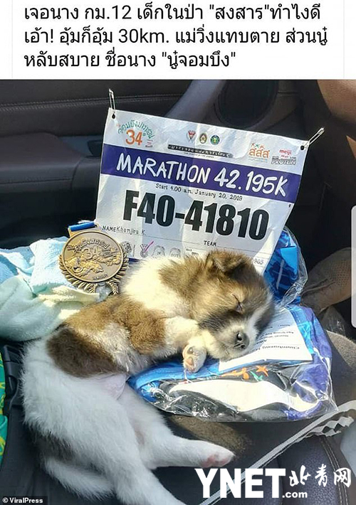 泰馬拉松選手比賽途中發現走失小狗 抱著它奔跑30公里完成比賽 未分類 第2張