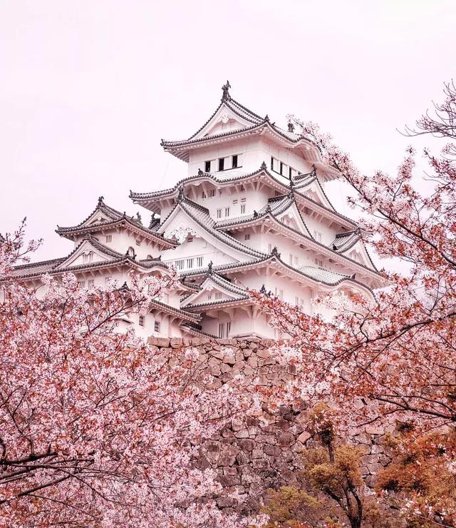 日本8大最佳赏樱地全攻略 请收好!_樱花