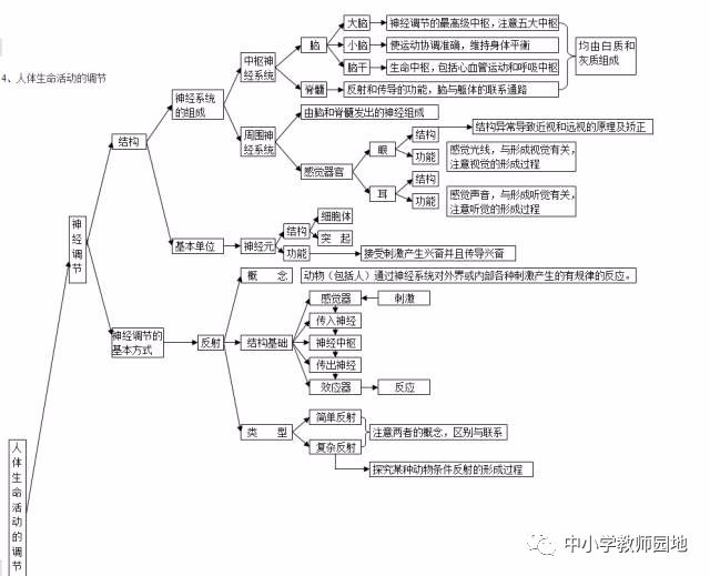 2019中考生物思维导图/易错点总结/专题复习/重要知识