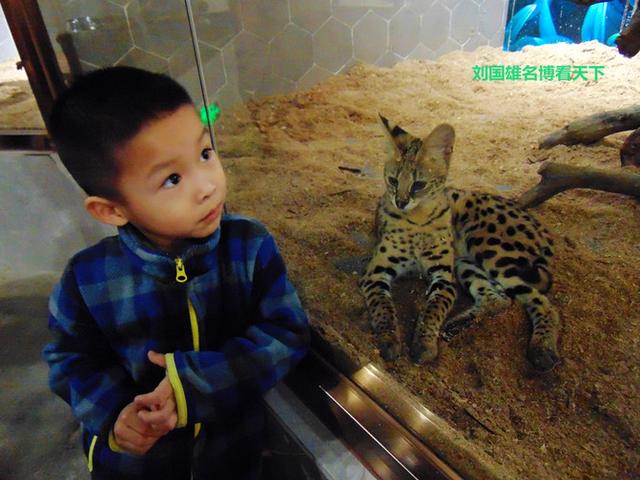 奇趣童真，歡樂親子，麥族室內動物園春節大優惠 旅遊 第35張