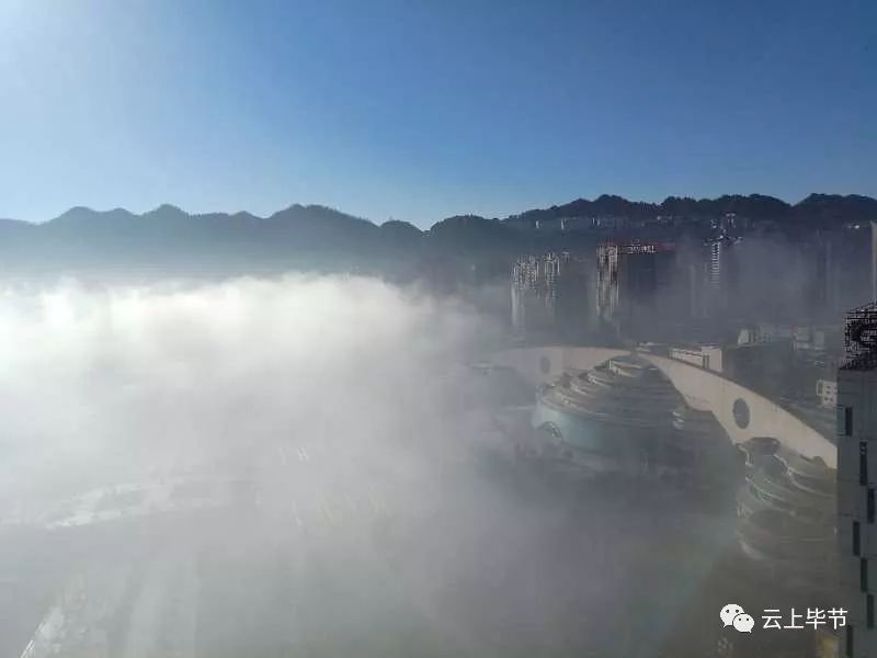 大波视频美图来袭!今天早上毕节多地雾景美翻了