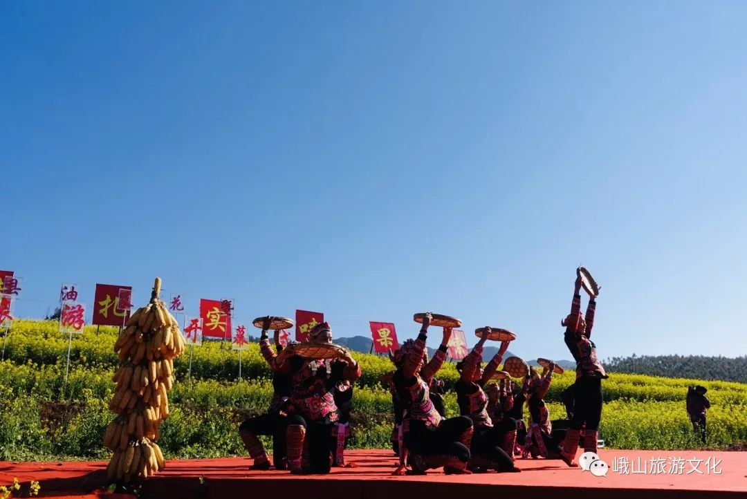 峨山县油菜花暨开新街文化旅游节今天开始了!