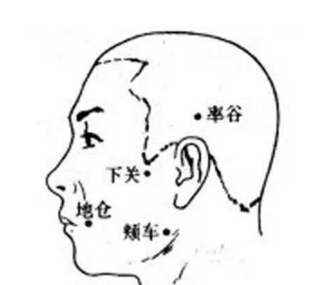 颊车穴跟合谷穴一样,都能治疗牙痛.