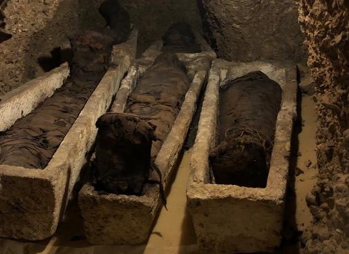 考古大發現！埃及出土近50具木乃伊 有千年歷史 未分類 第2張