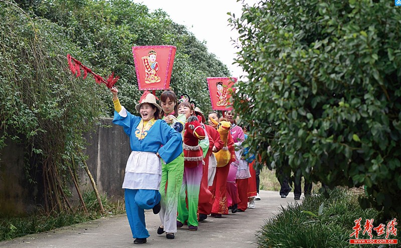 2月1日,浏阳市普迹镇乡间小道上锣鼓喧天,身着盛装的竹马灯队欢腾起舞