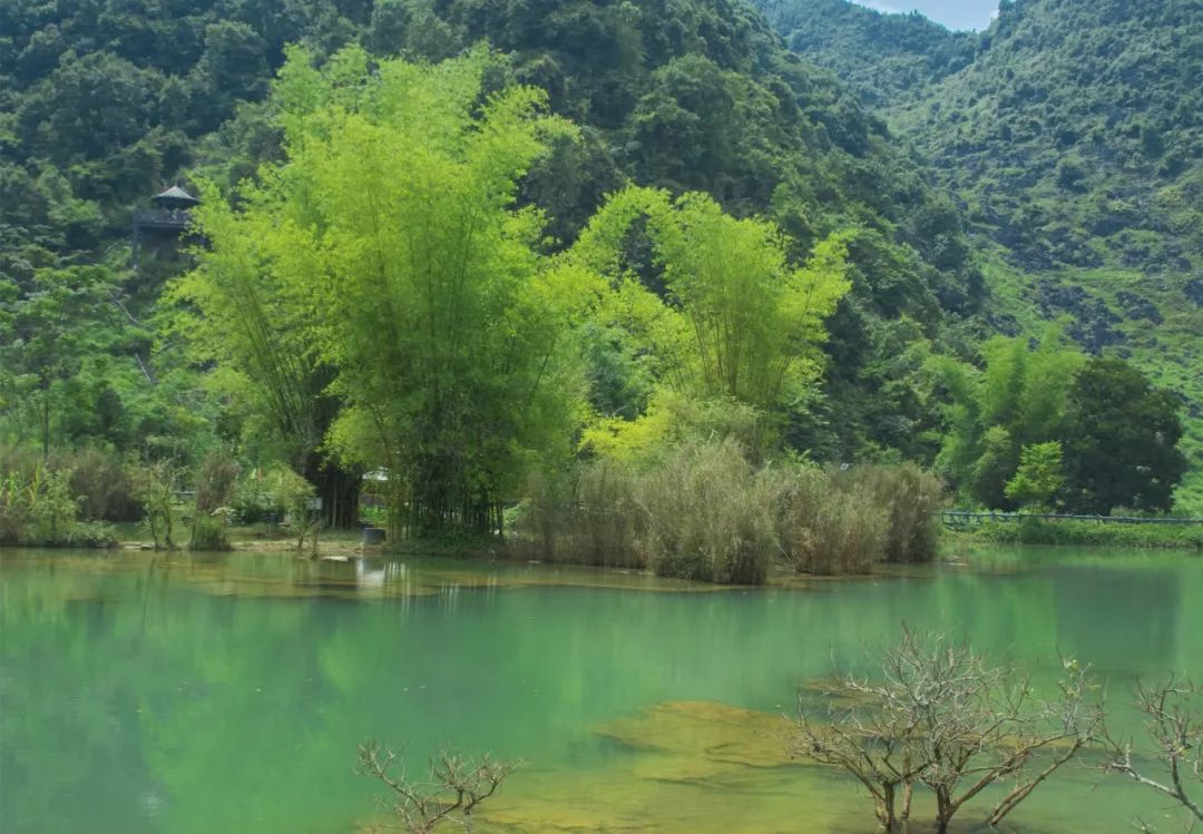 江阴属猪的赚了!全国多个景区免费,半价游玩,不知道的