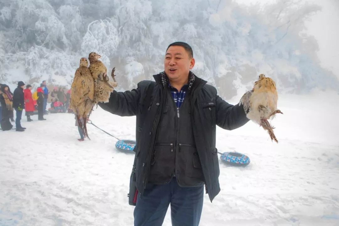 雪地里捉野鸡野兔,对体力脑力都是个考验! 雪地戏猴