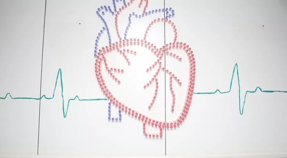 心内科则是一幅 有着科室特色的心电图展示在入口处 拼接的心脏模型