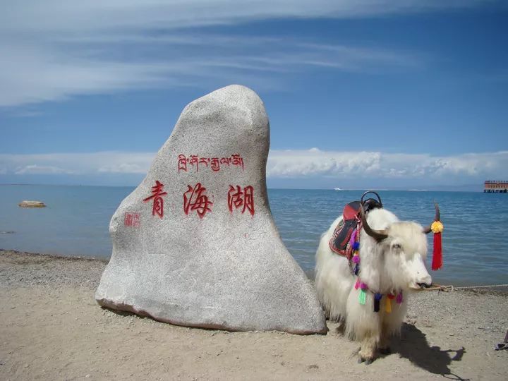 翻越橡皮山在黑马河下到青海湖畔,运气好的话可以看到青海湖湖心岛,沿