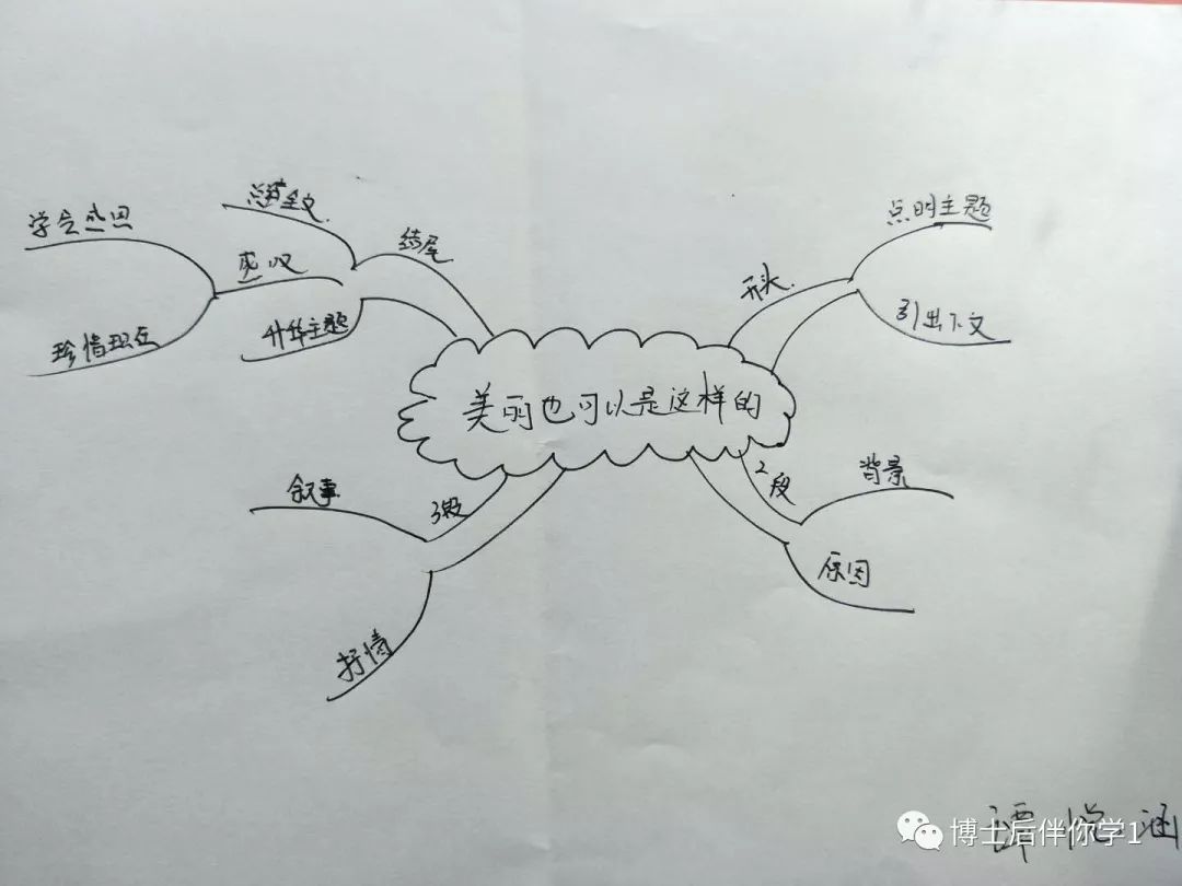 博士后伴你学2019新疆寒假思维导图营结营啦