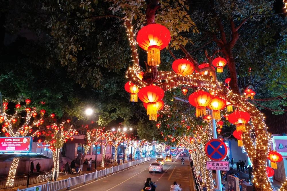 但春节最低0℃,还有连续降雨和大风!舟山人能去哪里玩?