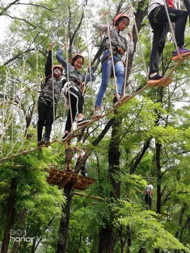 214到216一起相约丛林探险开启孩子人生的第一次冒险