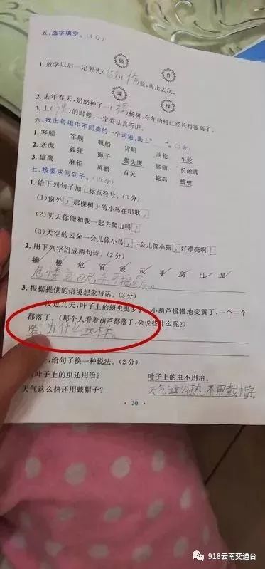 笑出内伤云南一小学生奇葩造句火了爸爸已经哭晕在厕所