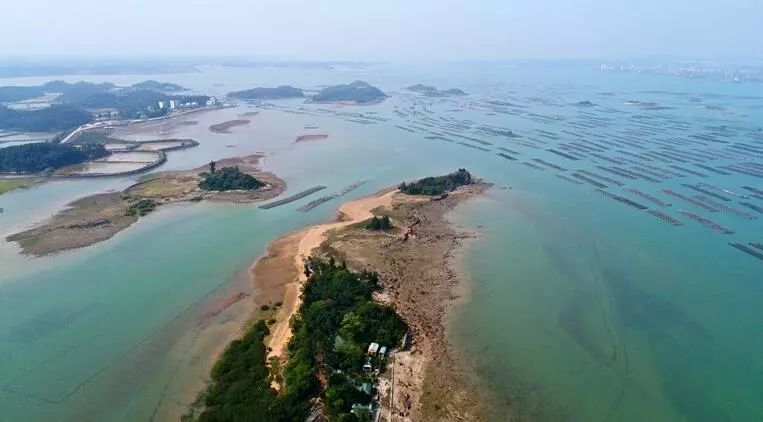 自治区海洋经济养殖区范围,从防城港市港口区光坡镇红沙村(红沙群岛)