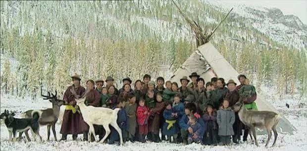 【圖集】蒙古稀有的原生犬 未分類 第18張