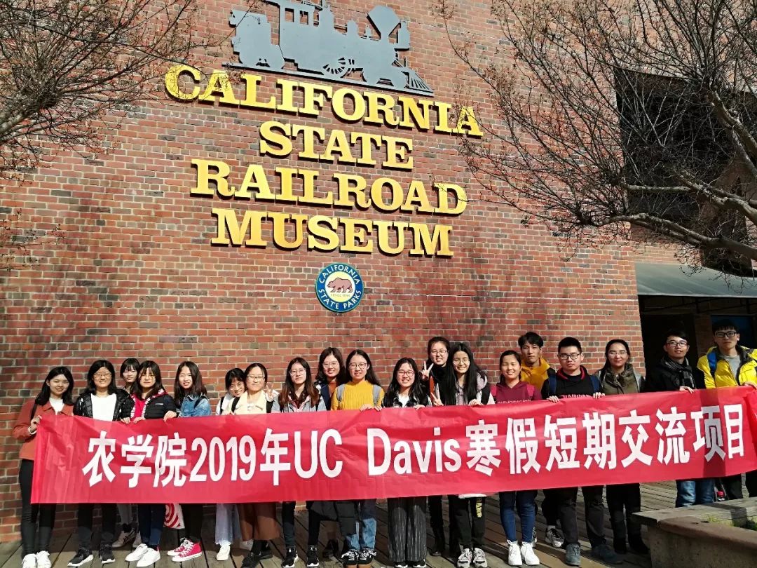 知否知否 南农人年味儿飘入uc-davis