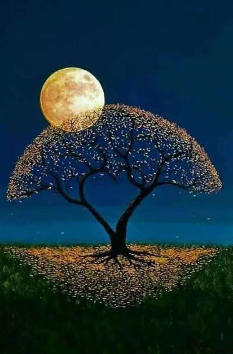 月亮和树很搭