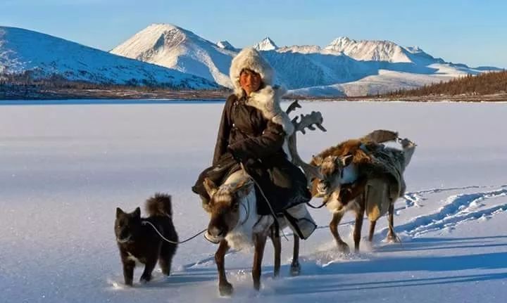 【图集】蒙古稀有的原生犬